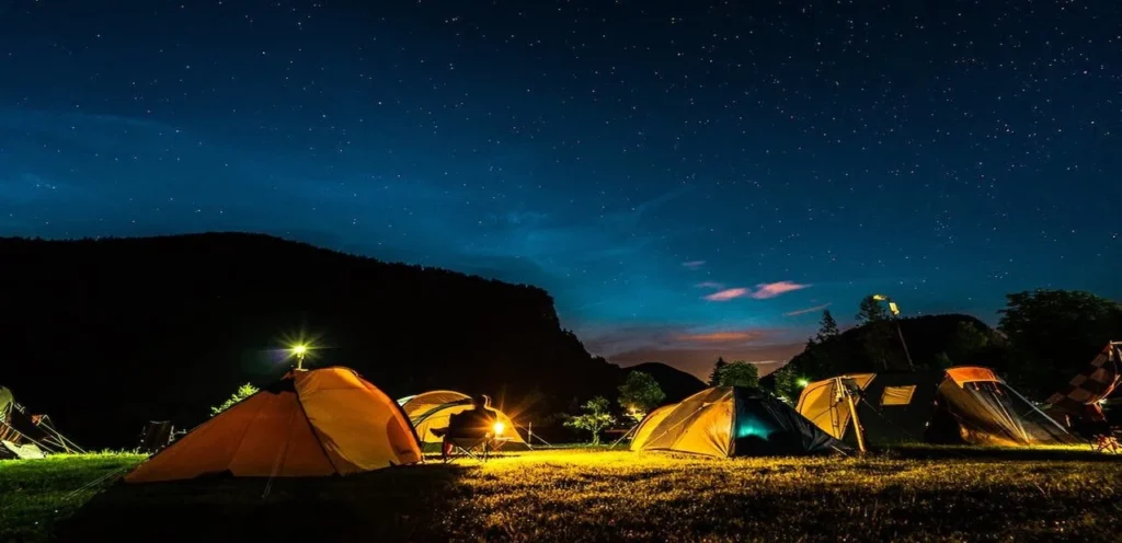 Jungle Camping in Manali